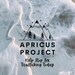 Apricus Project