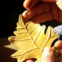 OOLEAVES