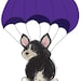 Buyer Avatar