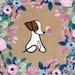 Buyer Avatar