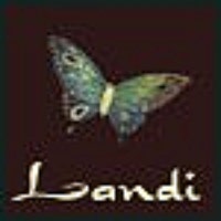 LandiDesigns