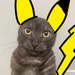 Buyer Avatar