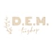 DEMTeeShop