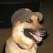 Buyer Avatar