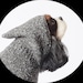 DesignedForDog