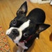 Holly Fann avatar