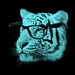 Ann Marie Brown avatar
