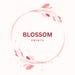 BlossomPrintsDTF