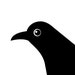 TheBlackBirdDesign