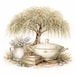 MyOldWillowTree