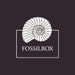 fossilboxworkshop