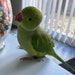 Buyer Avatar