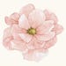 FloralGiftShoppe