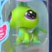 Buyer Avatar
