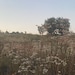 TheOneWithNatureShop