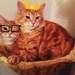 Jaffa and Maneki avatar