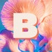BOCHOYU