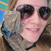LizardLovers