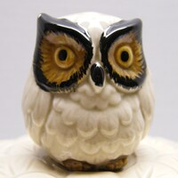 OwlShop