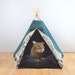 CatBunTeepee