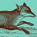LuckyFoxDesign