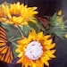 TimelessShopByLilia