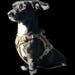 DogTagAudio