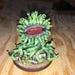 Buyer Avatar