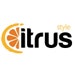 Citrus Style avatar