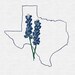 TexasBonnets