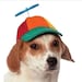 Buyer Avatar