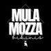 MulaMozzaBikinis
