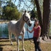 FancifulFillies