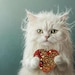 PreciousSentiments