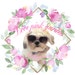 LovePinkGarden