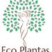EcoPlantas Natural Medicine avatar
