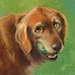 FantasyPaintingShopp