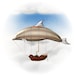 DolphinDirigible