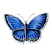 Buyer Avatar