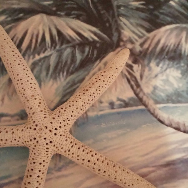 Turtle Starfish Sea Shells Seahorse Handmade Toilet Tank Topper-approx ...