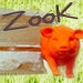 ZooK