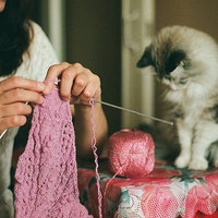 KnittedSneakersStore