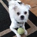 User photo