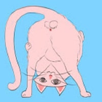 NMNillustration NMNillustration