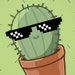 CornerCacti