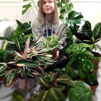 TheZenSprout