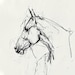 SleekLineSketches