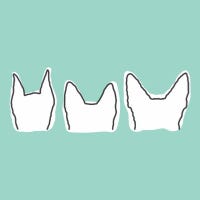 ruffandtumbledogco