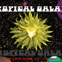 TropicalGalaxyLLC