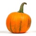 TheRustyPumpkins